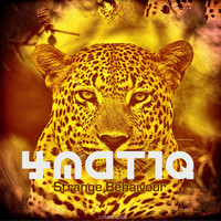 Avatar for the title's primary artist 4matiq