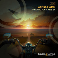 Avatar for the related artist Acosta Wink