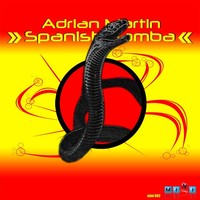 Avatar for the related artist Adrian Martin