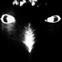 Avatar for the related artist Alejandro Mosso