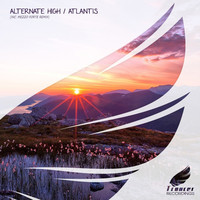 Avatar for the title's primary artist Alternate High