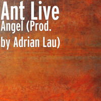 Avatar for the related artist Ant Live