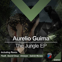 Image of Aurelio Guima linking to their artist page due to link from them being at the top of the main table on this page
