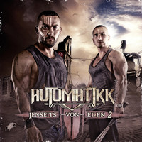 Avatar for the artist Automatikk