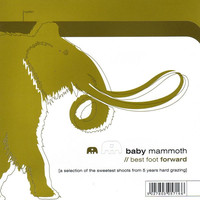 Avatar for the related artist Baby Mammoth