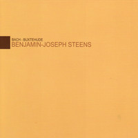 Image of Benjamin-Joseph Steens linking to their artist page due to link from them being at the top of the main table on this page