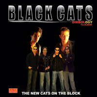 Image of Black Cats linking to their artist page due to link from them being at the top of the main table on this page
