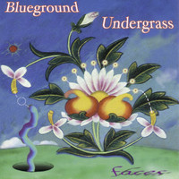 Image of Blueground Undergrass linking to their artist page due to link from them being at the top of the main table on this page