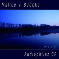 Avatar for the related artist Budoka