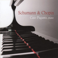 Avatar for the artist Caio Pagano