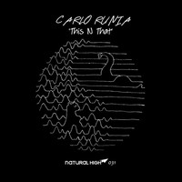 Avatar for the title's primary artist Carlo Runia