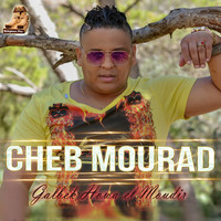 Avatar for the related artist Cheb Mourad