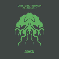 Avatar for the related artist Christopher Hermann