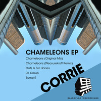 Image of Corrie linking to their artist page due to link from them being at the top of the main table on this page