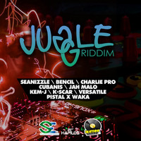 Avatar for the related artist Cubanis