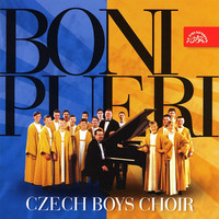 Avatar for the artist Czech Boys Choir