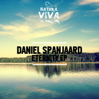 Avatar for the related artist Daniel Spanjaard