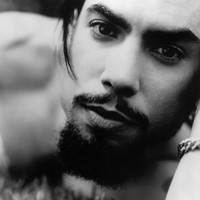 Avatar for the related artist Dave Navarro