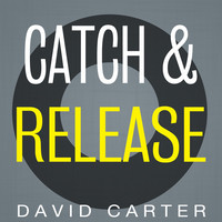 Avatar for the title's primary artist David Carter