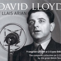 Image of David Lloyd linking to their artist page due to link from them being at the top of the main table on this page