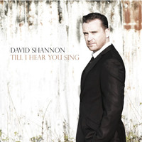 Avatar for the related artist David Shannon