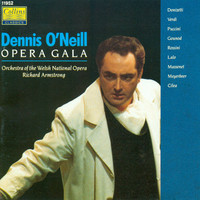 Avatar for the related artist Dennis O'Neill