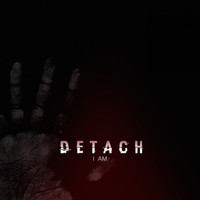 Image of Detach linking to their artist page due to link from them being at the top of the main table on this page