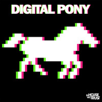 Avatar for the related artist Digital Pony