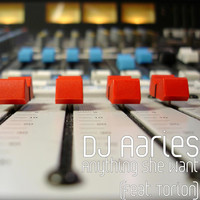 Avatar for the title's primary artist DJ Aaries