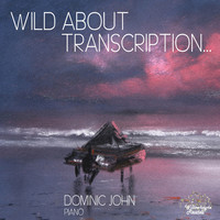 Avatar for the artist Dominic John