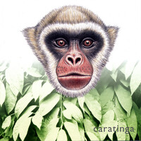 Avatar for the related artist Douglas Quin