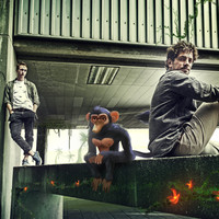 Avatar for the title's primary artist Ducked Ape