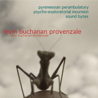 Avatar for the title's primary artist Elliott Levin