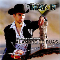Avatar for the primary link artist El Mayor