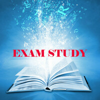 Avatar for the related artist Exam Study New Age Piano Music Academy