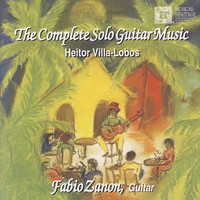 Avatar for the related artist Fabio Zanon