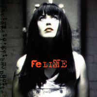 Avatar for the related artist Feline