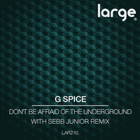 Avatar for the related artist G-Spice