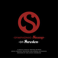 Avatar for the related artist Gävle Symphony Orchestra