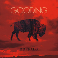 Avatar for the title's primary artist Gooding