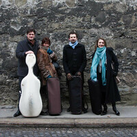 Avatar for the artist Gringolts Quartet