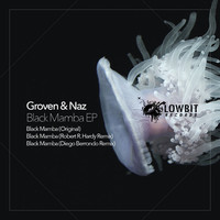 Avatar for the title's primary artist Groven