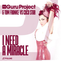 Avatar for the related artist Guru Project
