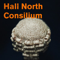 Image of Hall North linking to their artist page due to link from them being at the top of the main table on this page