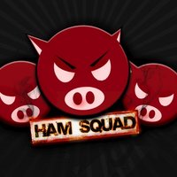 Avatar for the title's primary artist HamSquad