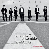 Avatar for the related artist Horenstein Ensemble