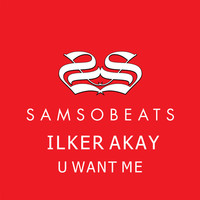 Avatar for the artist Ilker Akay