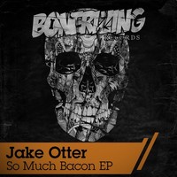 Avatar for the related artist Jake Otter