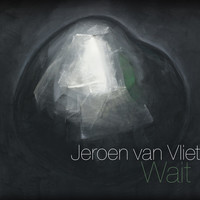 Avatar for the related artist Jeroen Van Vliet