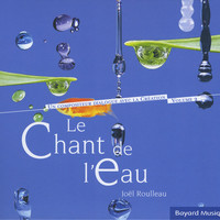 Avatar for the related artist Joël Roulleau